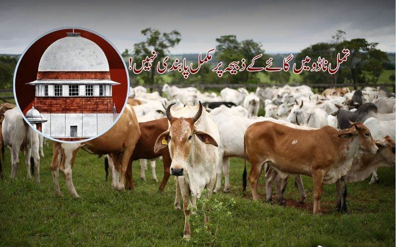 تمل ناڈو میں گائے کے ذبیحہ پر پابندی: ہائی کور ٹ کےفیصلہ پر سپریم کورٹ کی روک 